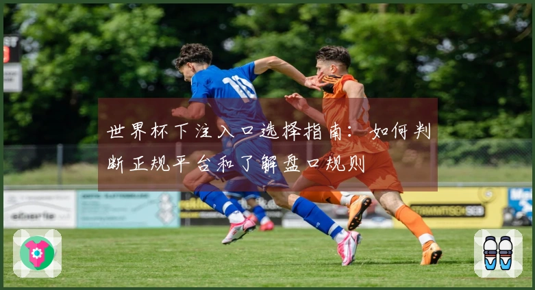世界杯下注入口选择指南：如何判断正规平台和了解盘口规则