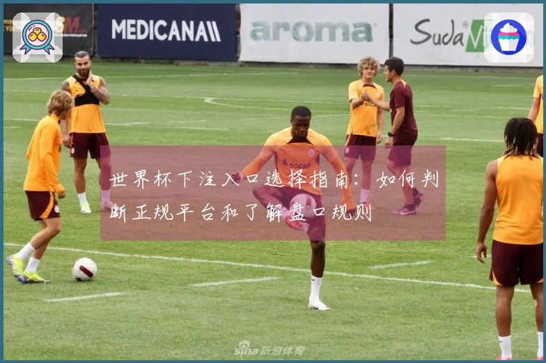 世界杯下注入口选择指南：如何判断正规平台和了解盘口规则