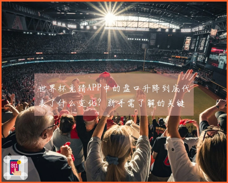 世界杯竞猜APP中的盘口升降到底代表了什么变化？新手需了解的关键要点