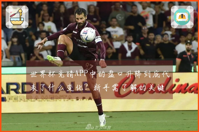 世界杯竞猜APP中的盘口升降到底代表了什么变化？新手需了解的关键要点